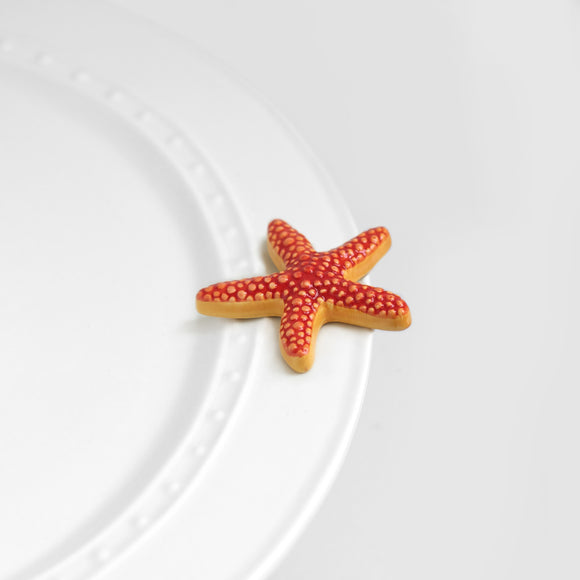 Sea Star Mini - Starfish